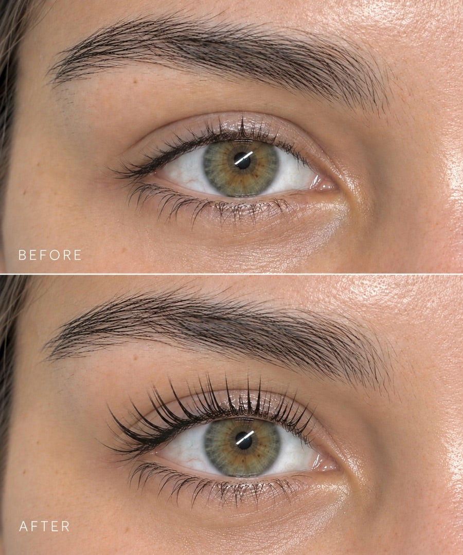 Before and after Korean Lash Lift treatment result